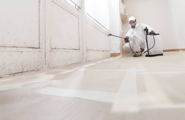 24/7 Emergency Mold Testing experts in Fountainville, PA
