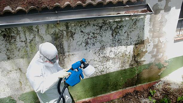 Trusted Mold Testing service in Fountainville, PA - Cheap Mold Removal